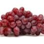 SEEDLESS GRAPE