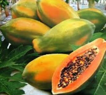 PAWPAW